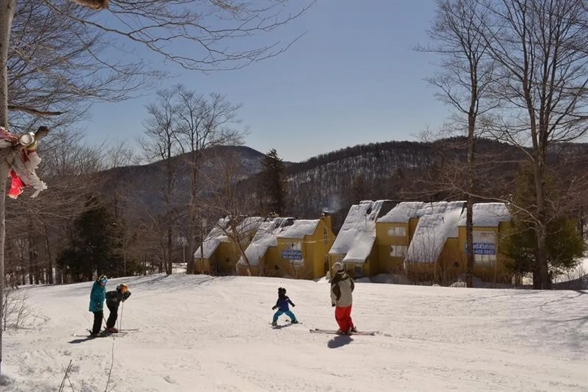 A lively winter scene featuring skiers gliding down snowy slopes with snow-covered houses nestled below and a stunning mountain backdrop. The image captures active families and groups enjoying the slopes, conveying energy and adventure.